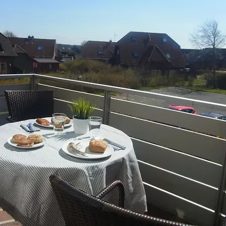 Silbermoewe *