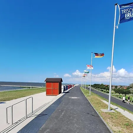 Silbermoewe *