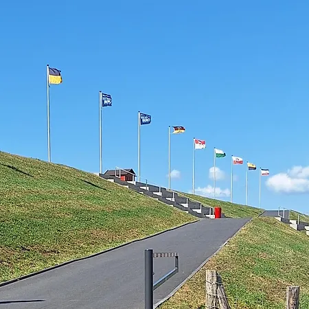 Silbermoewe