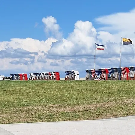 Silbermoewe * Friedrichskoog