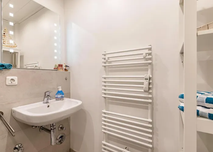 Silbermoewe Friedrichskoog